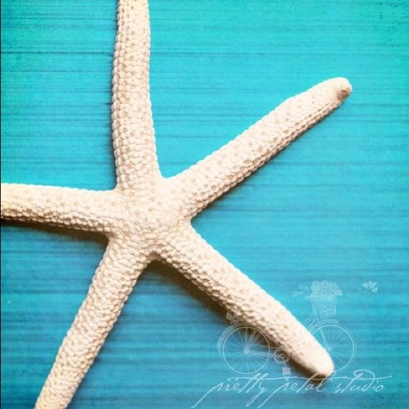 Mooma - Picture 1 of 1